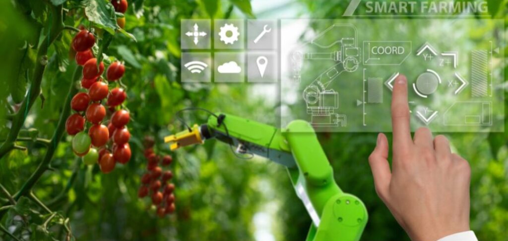 Informe de Tecnología e innovación 2023