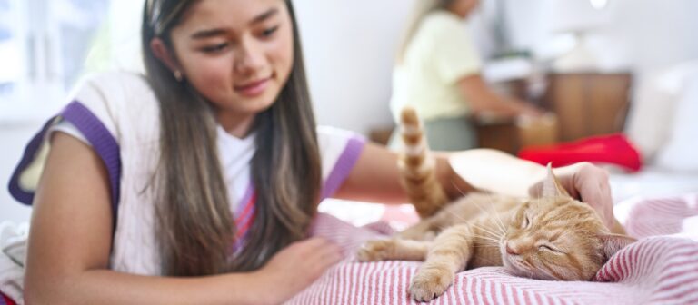 ¿Sabes qué cuidados seguir en la esterilización de tu gato? Beneficios clave de la esterilización y consejos de cuidado