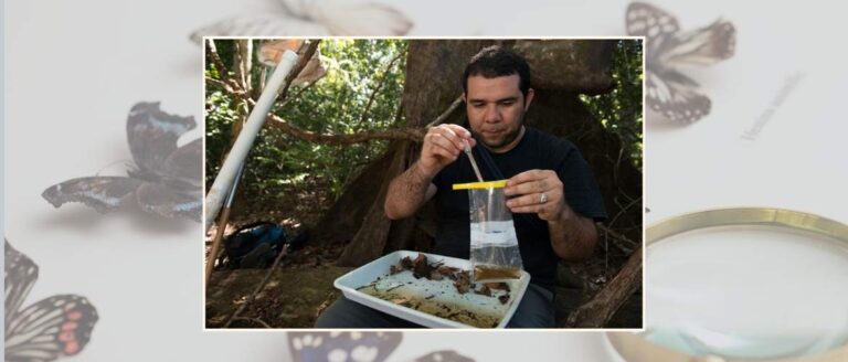Centroamérica urge entomólogos para enfrentar sus retos Centroamérica urge entomólogos para enfrentar sus retos