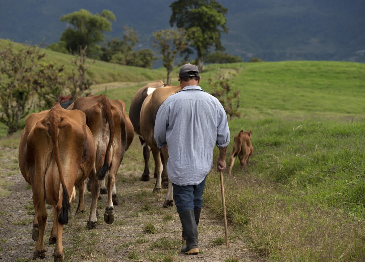 cooperativas agroindustriales